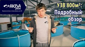 Бизнес по выращиванию рыбы в установках замкнутого водоснабжения #экология #агробизнес #инвестиции