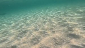 КРЫМ | СЕЛО ПОПОВКА | ЧЁРНОЕ МОРЕ.