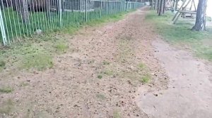 ОБЗОР Базы Отдыха  ПРИИРТЫШЬЕ в Омске Часть 1