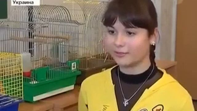 Школьный эксперимент помог отучить детей от фастфуда смотреть онлайн