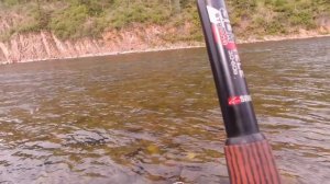 Рыбалка на ХАРИУСА в тайге на горной реке УС. Рыбалка в июле 2024 года