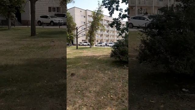 Возле гостиницы " Борисполь". 5 августа, 2021 год. смотреть онлайн