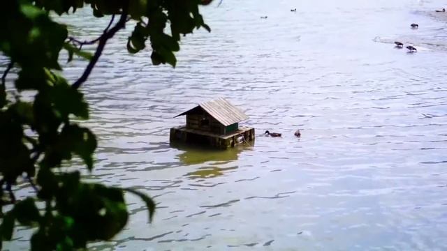 очен красивая музыка смотреть онлайн