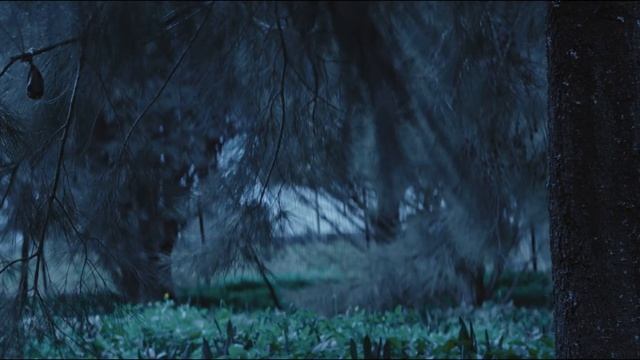 Ursa Mini Anamorphic - Teaser смотреть онлайн