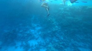 Xperience, Xperience Sea Breeze Resort Египет