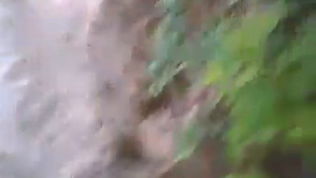 Ищем место для шалаша на дереве смотреть онлайн