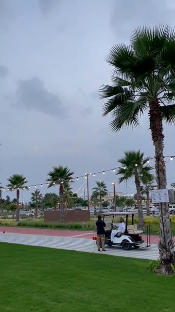 #shorts пляж umbrella в Fujairah январь 2023 .UAE🇦🇪 смотреть онлайн