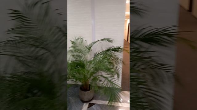 Бутик отель Волна. Адлер смотреть онлайн