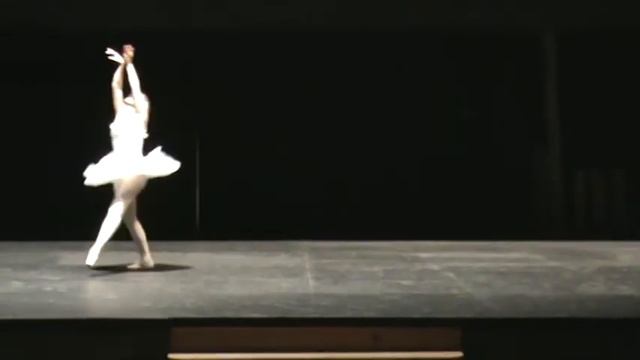 la muerte del cisne.mpg смотреть онлайн