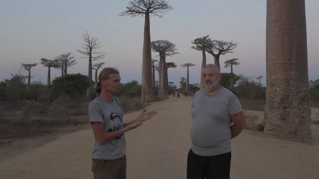 Отзыв о поездке на Мадагаскар из аллеи баобабов смотреть онлайн