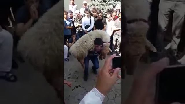 17 июля 2018 г. смотреть онлайн