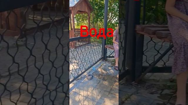 Соль -Илецк Оренбургская область рядом - Татьянин родник смотреть онлайн