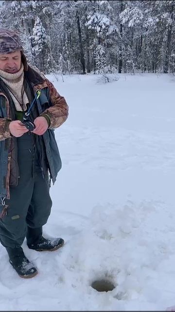 Рыбачим на лесном озере