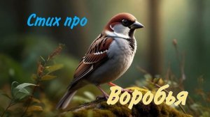 ВОРОБЕЙ. Стишок про воробья. стихи детям.автор Ярославцева В.