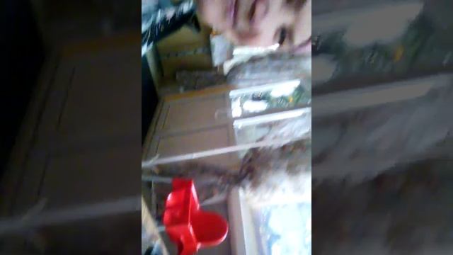 Ривьера кафе смотреть онлайн