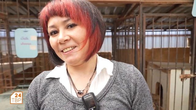 Испытатель. Выпуск 15 смотреть онлайн