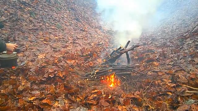 Бушкрафт: похід вихідного дня 31.12.2018р. смотреть онлайн