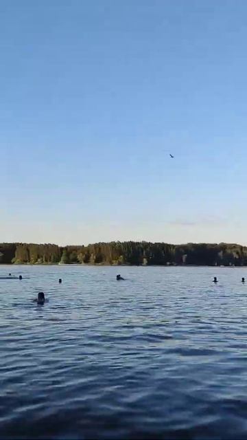Истринское водохранилище 2 #shorts #водохранилище #истра смотреть онлайн