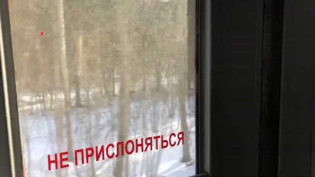 ПУТЕШЕСТВИЕ В ВЕЛИКИЙ НОВГОРОД смотреть онлайн