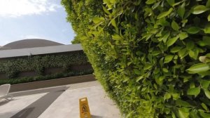 Adalya Elite Lara 5*. Обзор отеля. Турция. Май 2024