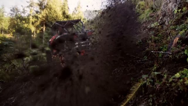 Что выбрать? МОТОЦИКЛ, КВАДРОЦИКЛ или БАГГИ. Сравнение смотреть онлайн