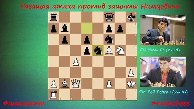 Разящая атака против защиты Нимцовича от Рэя Робсона