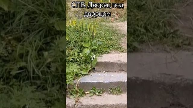 Петербург: дворец Разумовского под дворцом Потемкина смотреть онлайн