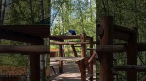 Обзор загородного отеля в Костромской области. Гранд отель SPA «Аристократъ» семейный отель!