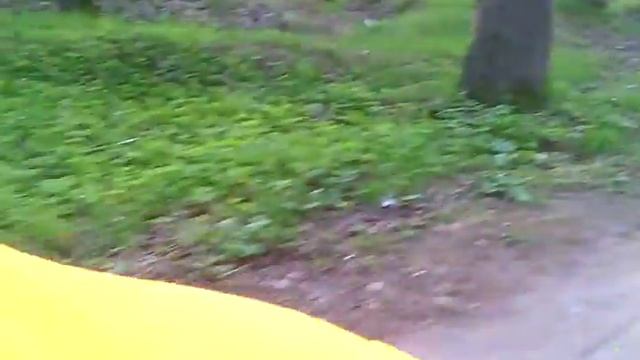 Катаемся :) смотреть онлайн