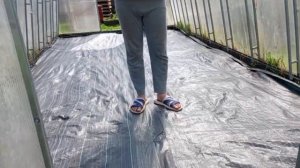 как мы стелили агроволокно