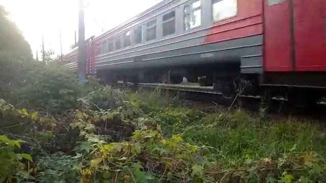 Электропоезд ЭД4М-0251 сообщением Москва - Фрязино-пассажирская. смотреть онлайн