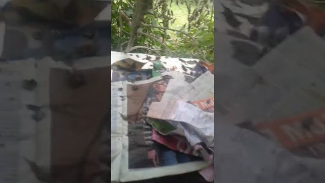 Обзор на шалаш смотреть онлайн