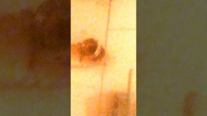 как выкрутить сломанный эксцентрик из трубы