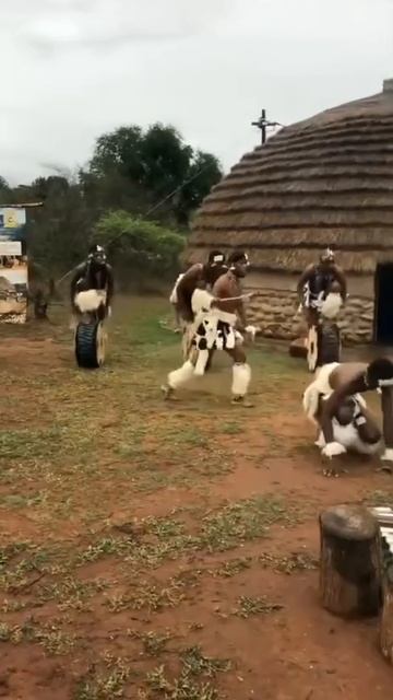 военный танец зулусов, имитирующий бой смотреть онлайн