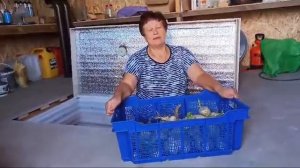 Отзыв о погребе Амбар： ＂За два года никаких проблем＂.