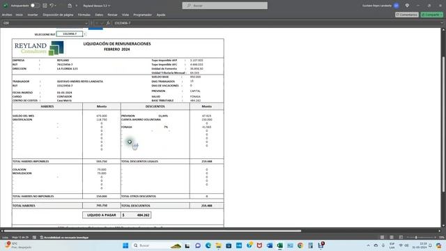 Modulo Remuneraciones (Reyland version 5.3) смотреть онлайн