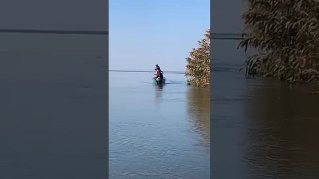 Астрахань 2020 Каспия выход в море , сазан боролся как мог #астраханскаярыбалка #рыбалка смотреть онлайн