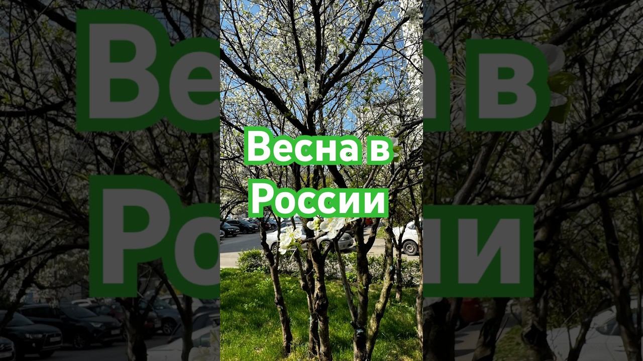 23 апреля 2025 г.