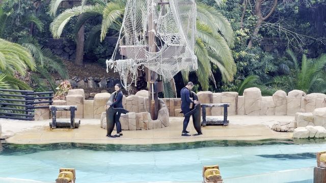 Шоу морских львов в Jungle park на Тенерифе, Канарские острова, Испания смотреть онлайн