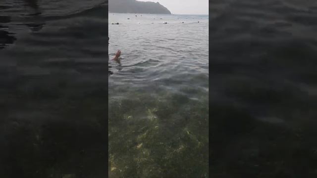 Крым. Орджоникидзе 22.08.2022 Центральный пляж. смотреть онлайн