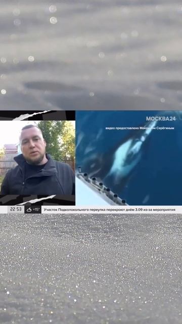 Фрагмент нашего интервью телеканалу Москва 24 #север #туризм #териберка #киты #северноесияние смотреть онлайн