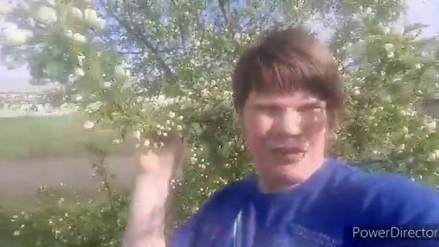 Ура Игорь в Москву скоро ✈️ смотреть онлайн