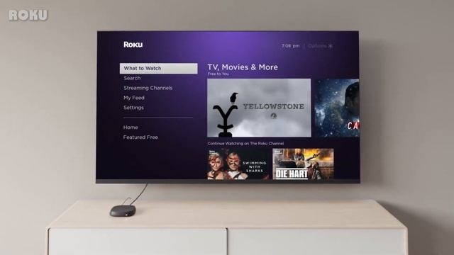 Are Roku TVs Good? Everything You Should Know About смотреть онлайн