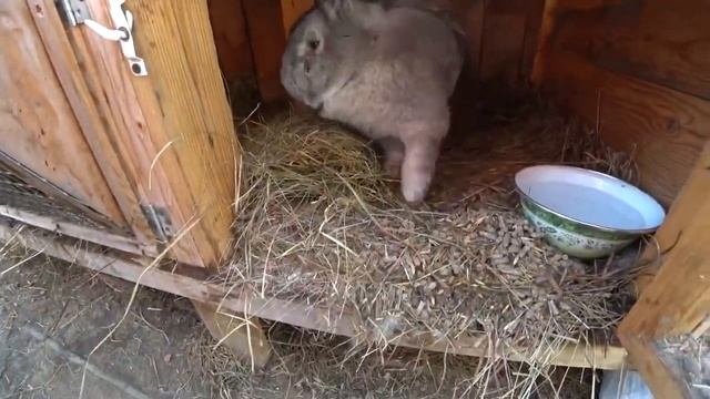 Показываем Документы НА Дом Делаем Фундамент ПОД Новый Сарай Распаковка Посылки Хочу Пожрать смотреть онлайн