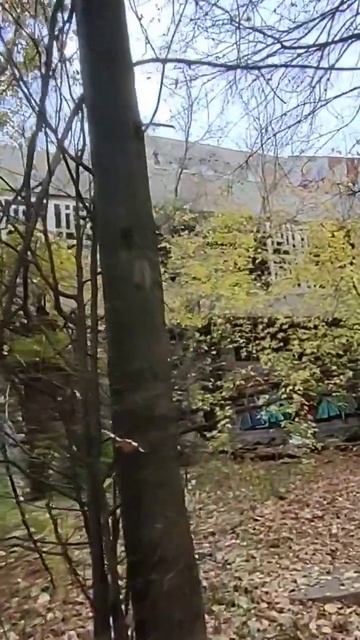 Дом природы в Ижевске смотреть онлайн