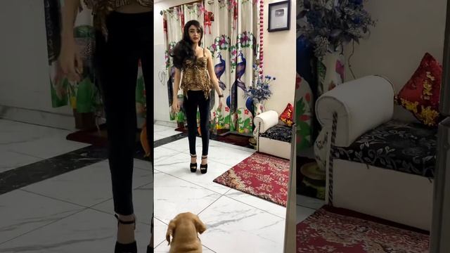 High Heels | Cover Dance Radhikasaxena смотреть онлайн