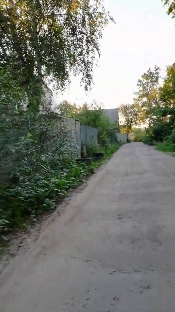 Высокий забор на даче смотреть онлайн