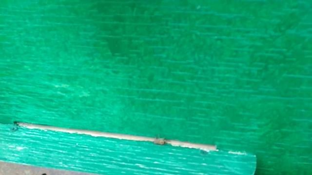 8 июля 2020 пасека смотреть онлайн