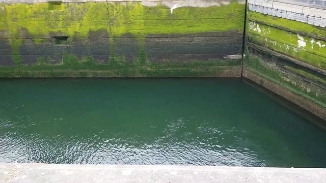 Что делать в Сиэтле c детьми Ballard Locks / Шлюз в США смотреть онлайн