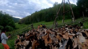 Поездка в Чарышский район Алтайского края.